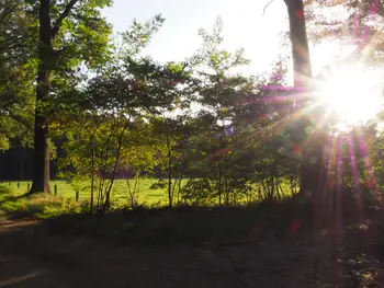 Vagevuurbos en Lippensgoed-Bulskampveld (België)